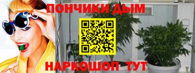 шишки Партизанск