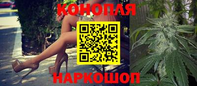 шишки Партизанск