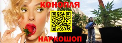шишки Партизанск