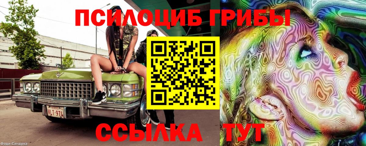 Сочи  купить наркотики сайты  Вход с VPN  Псилоцибиновые грибы мухоморы 