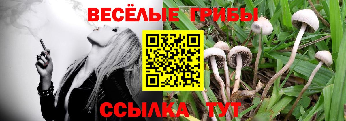 Галлюциногенные грибы Magic Shrooms Сочи